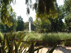 183 D35 PARC OLBIUS RIQUIER A HYERES_000044